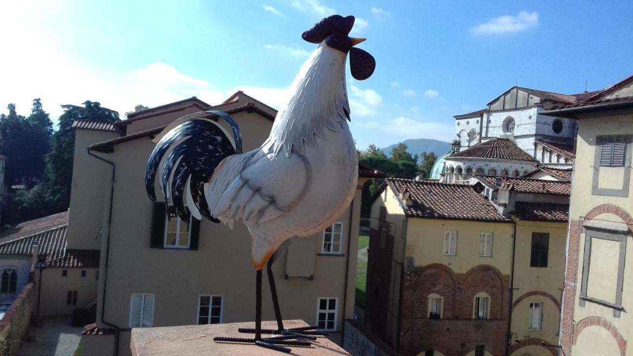 Terrazza Coccode' Spazioso Con Vista Mozzafiato! Lucca Eksteriør bilde