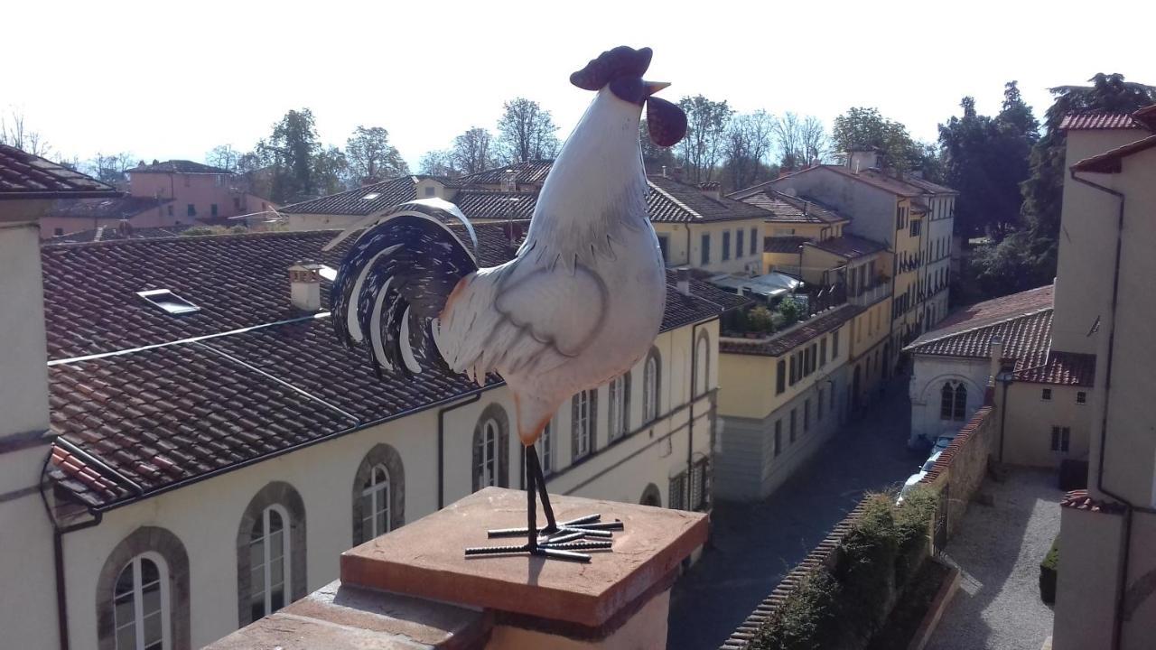 Terrazza Coccode' Spazioso Con Vista Mozzafiato! Lucca Eksteriør bilde